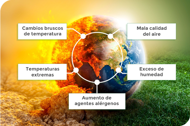 Cambio climático
